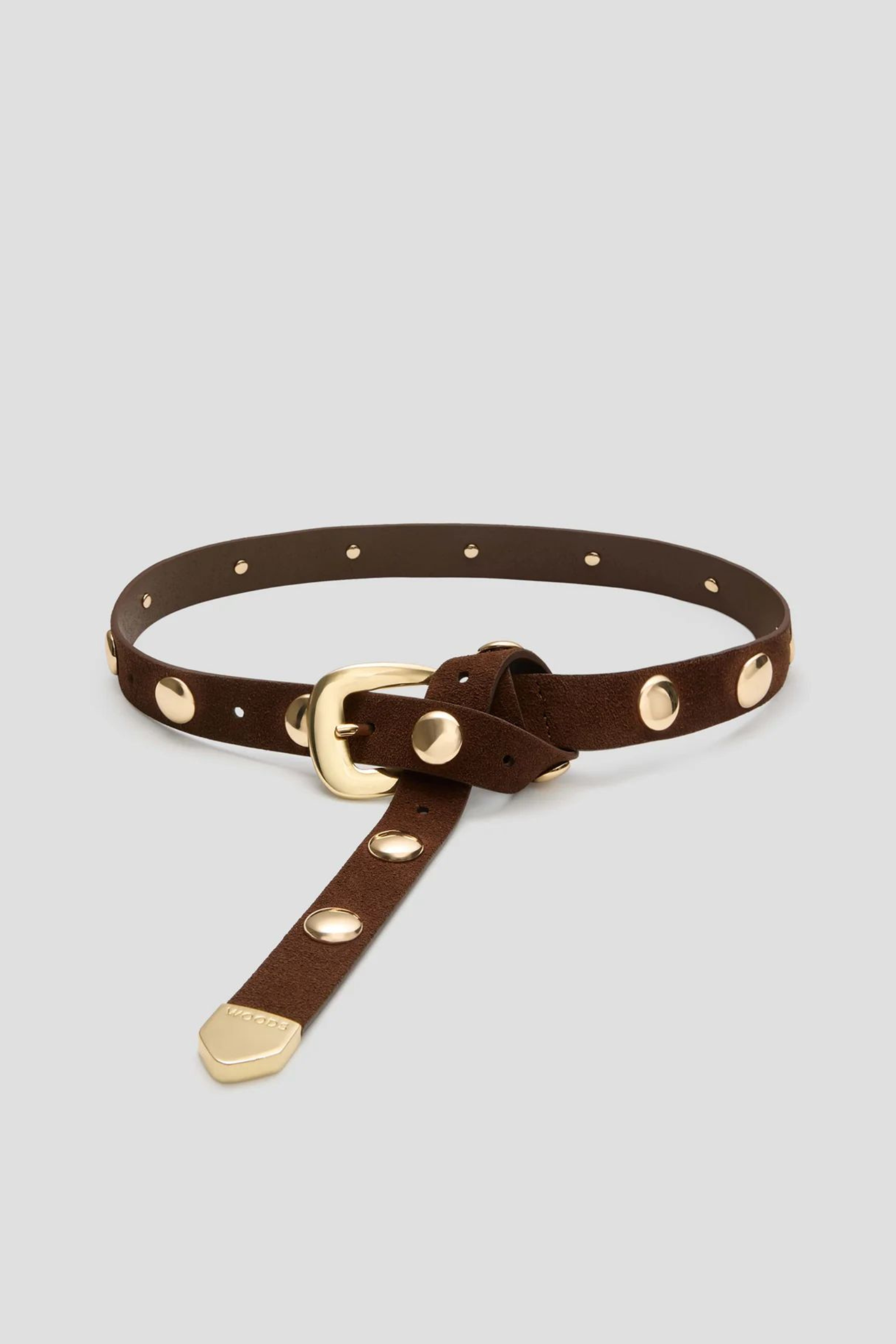 Scott Belt