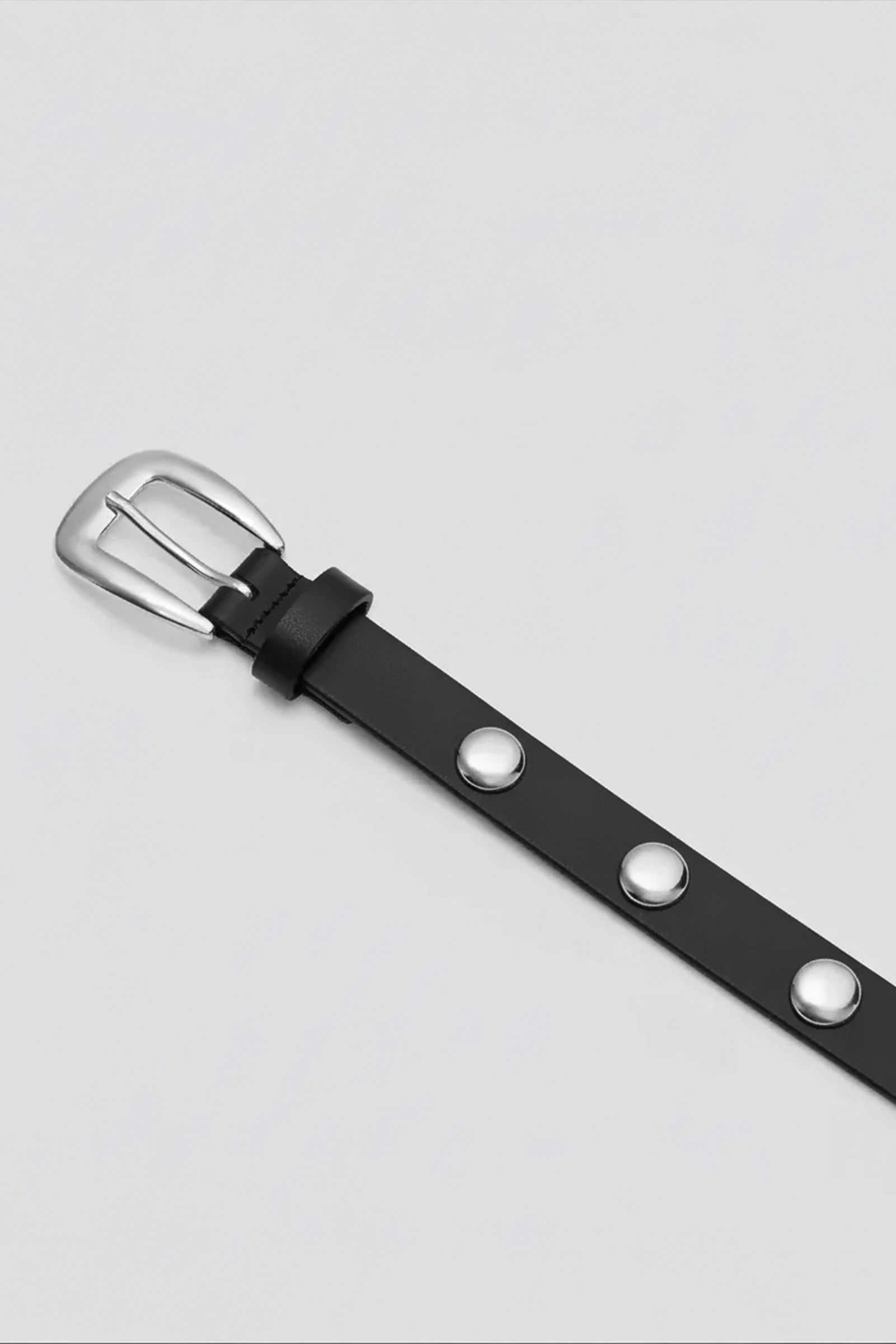 Scott Belt