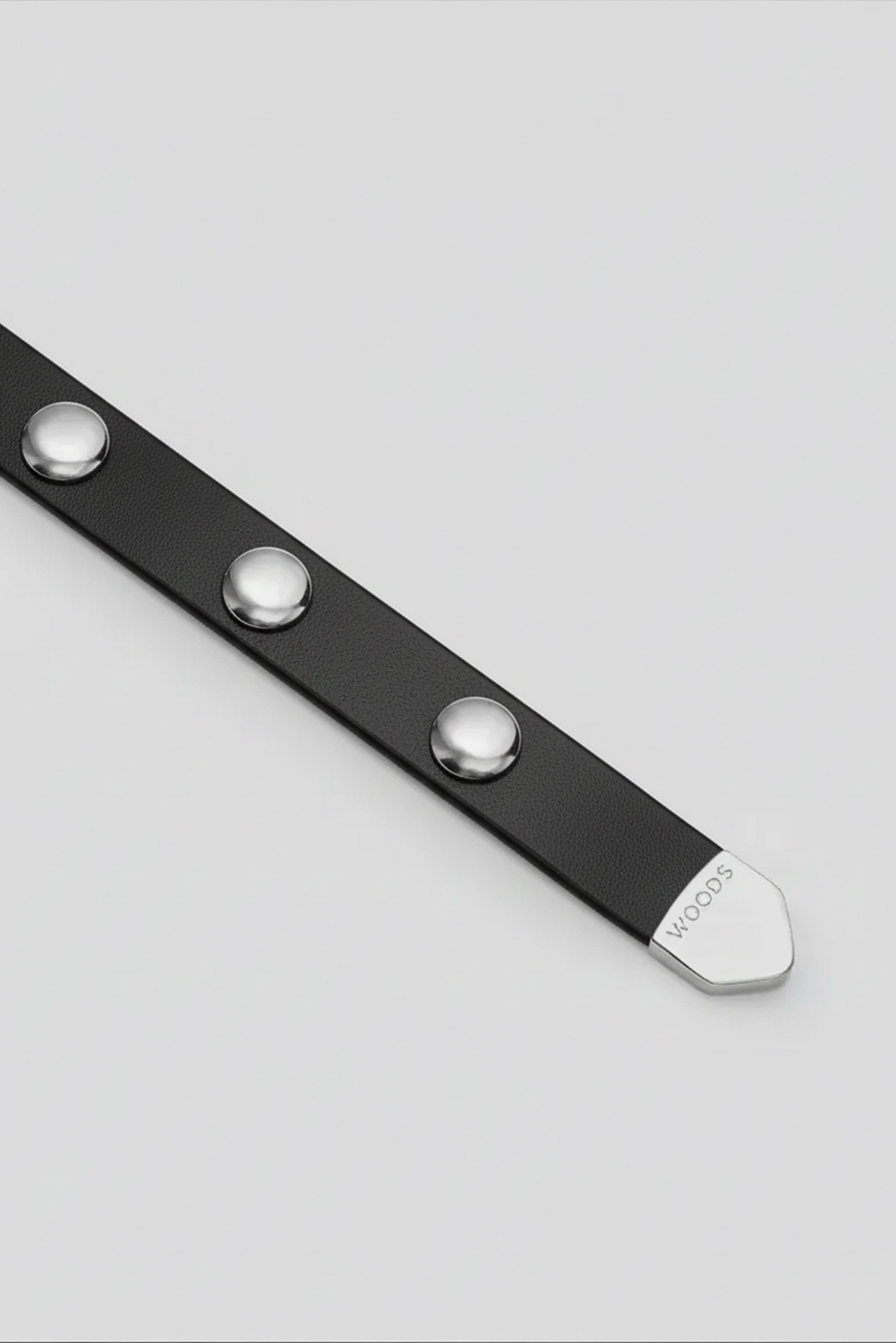 Scott Belt