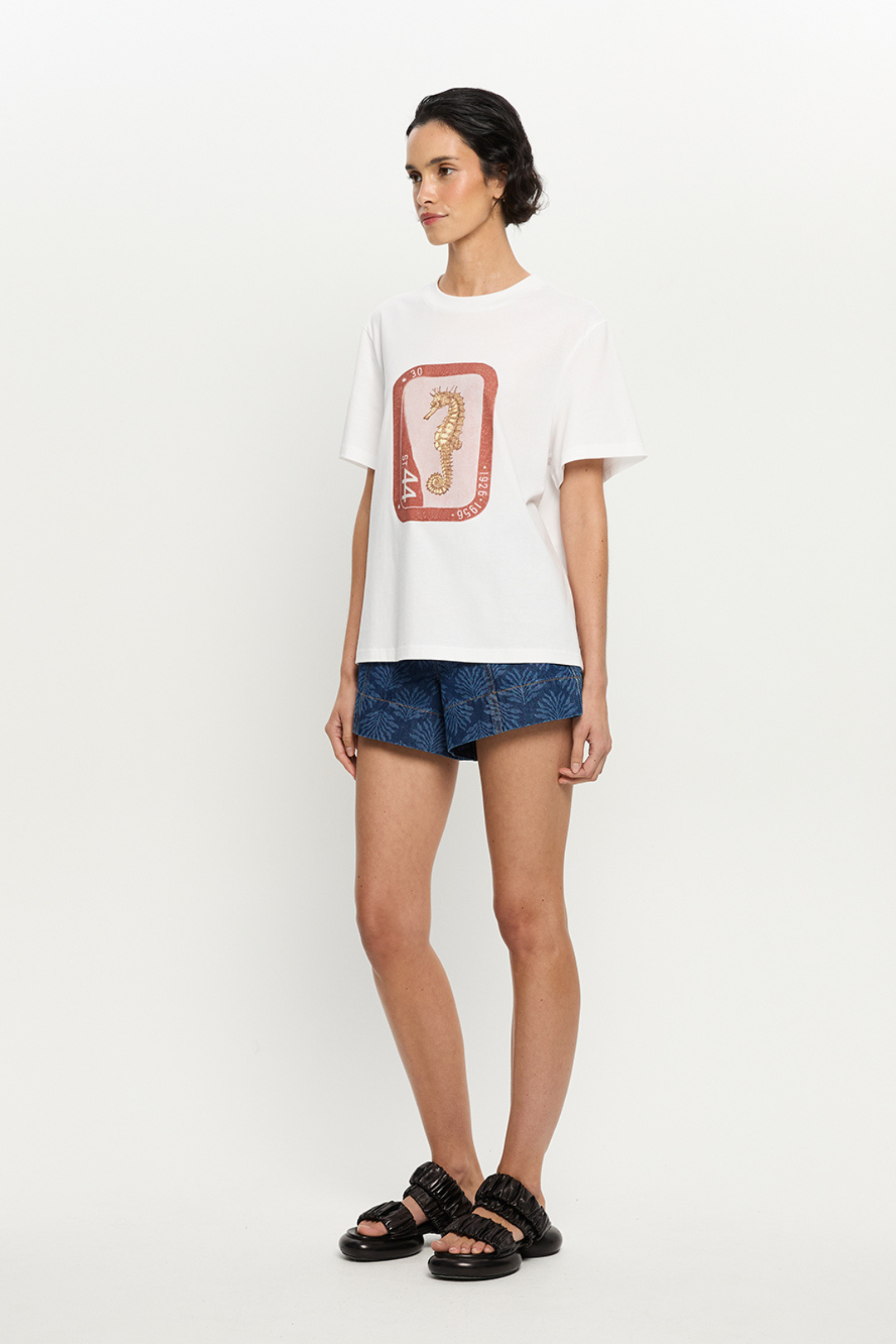 Sheldon Tee