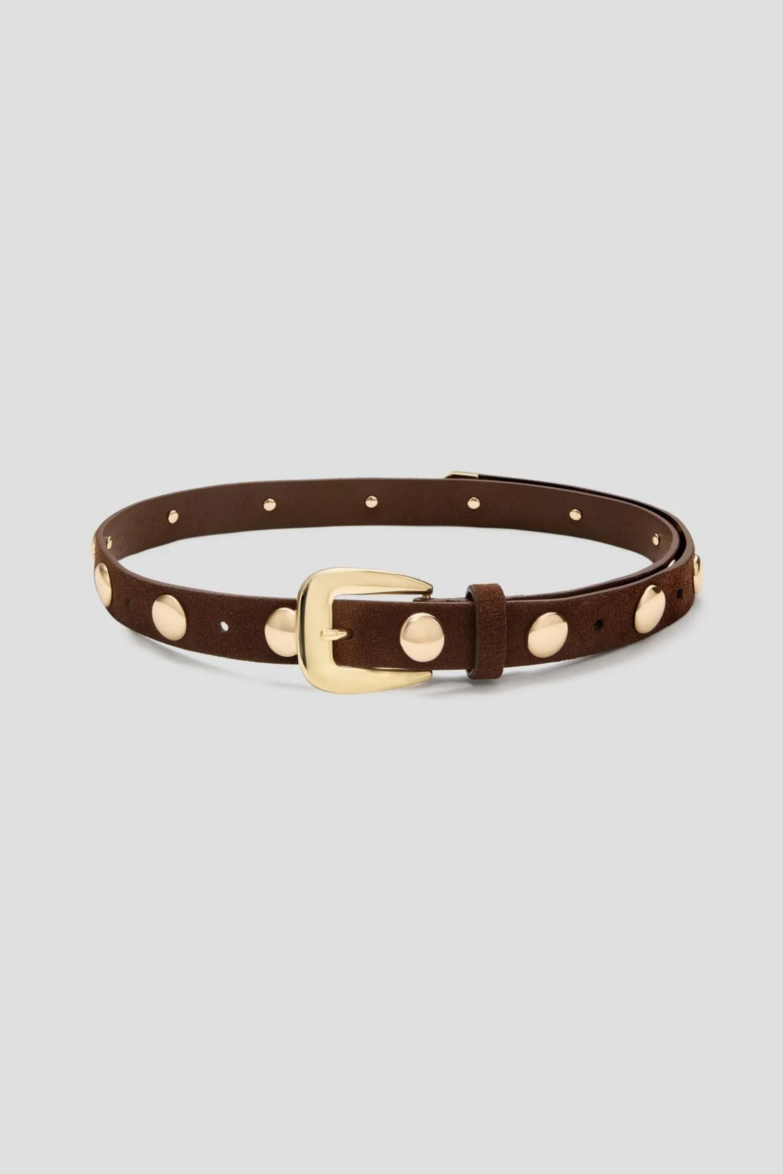 Scott Belt