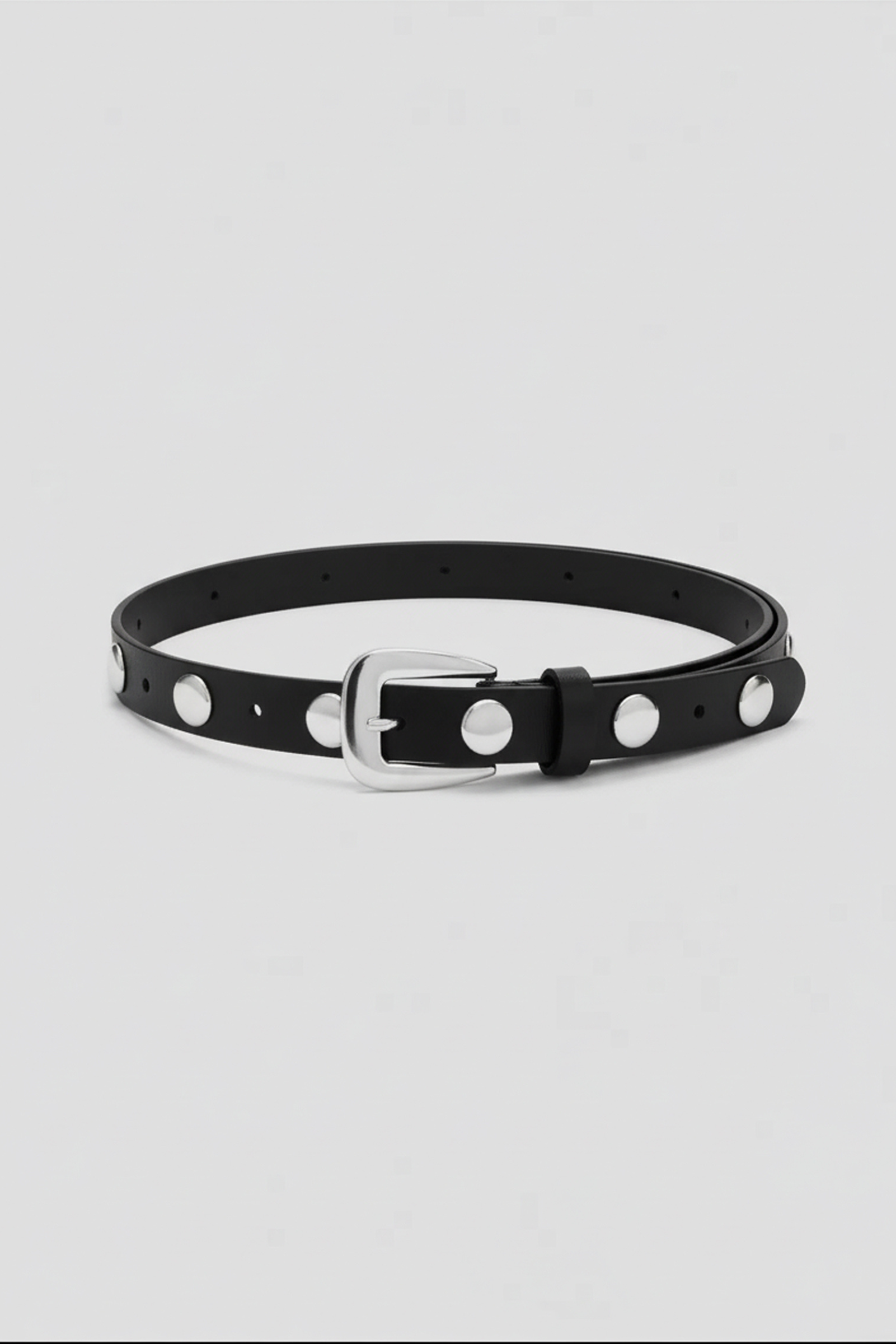 Scott Belt