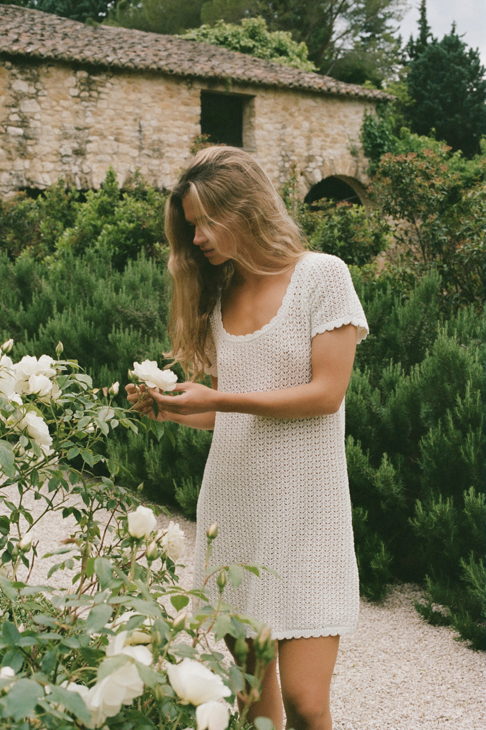 Pointelle Mini Dress - Seashell