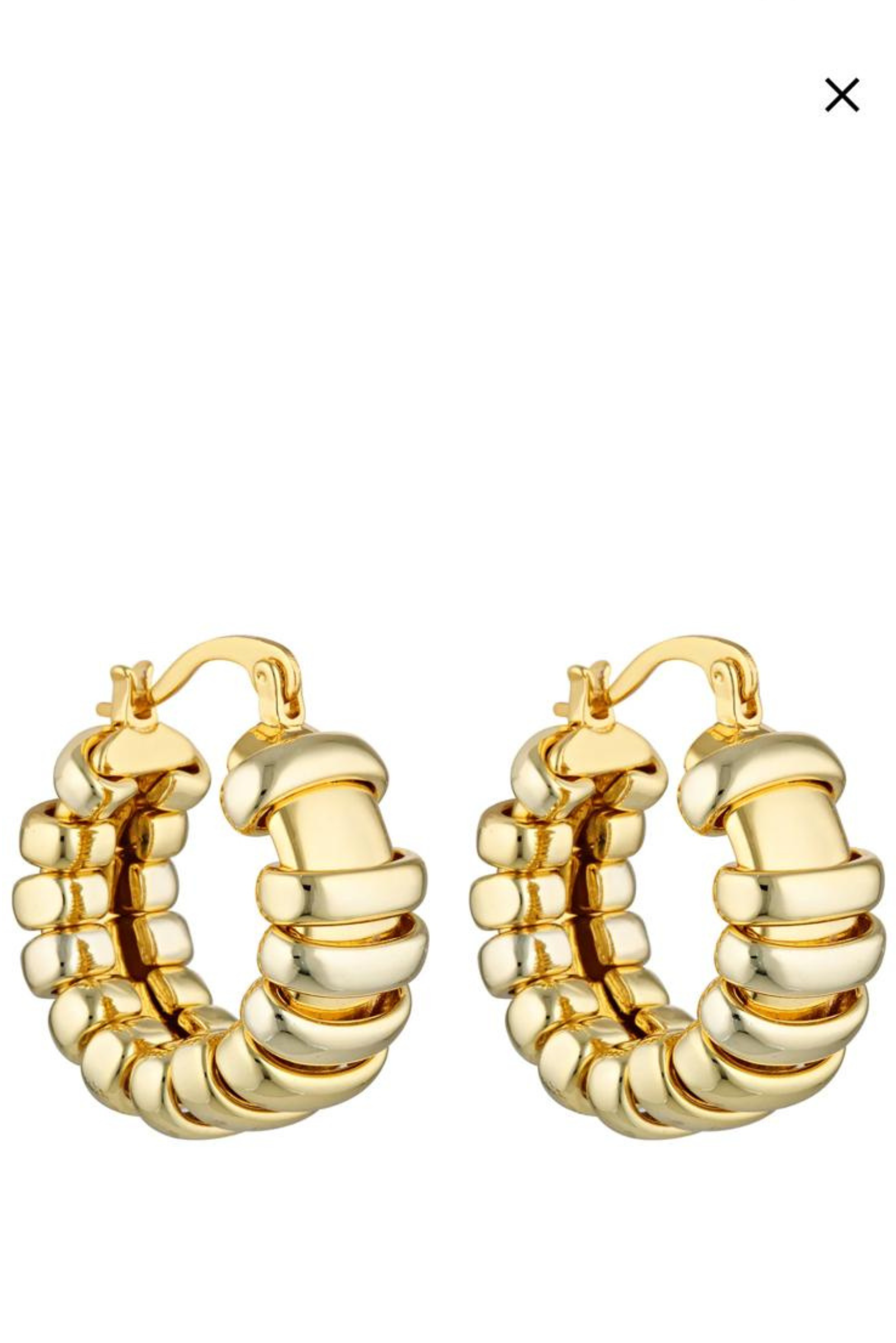 Turtle Hoops - Gold