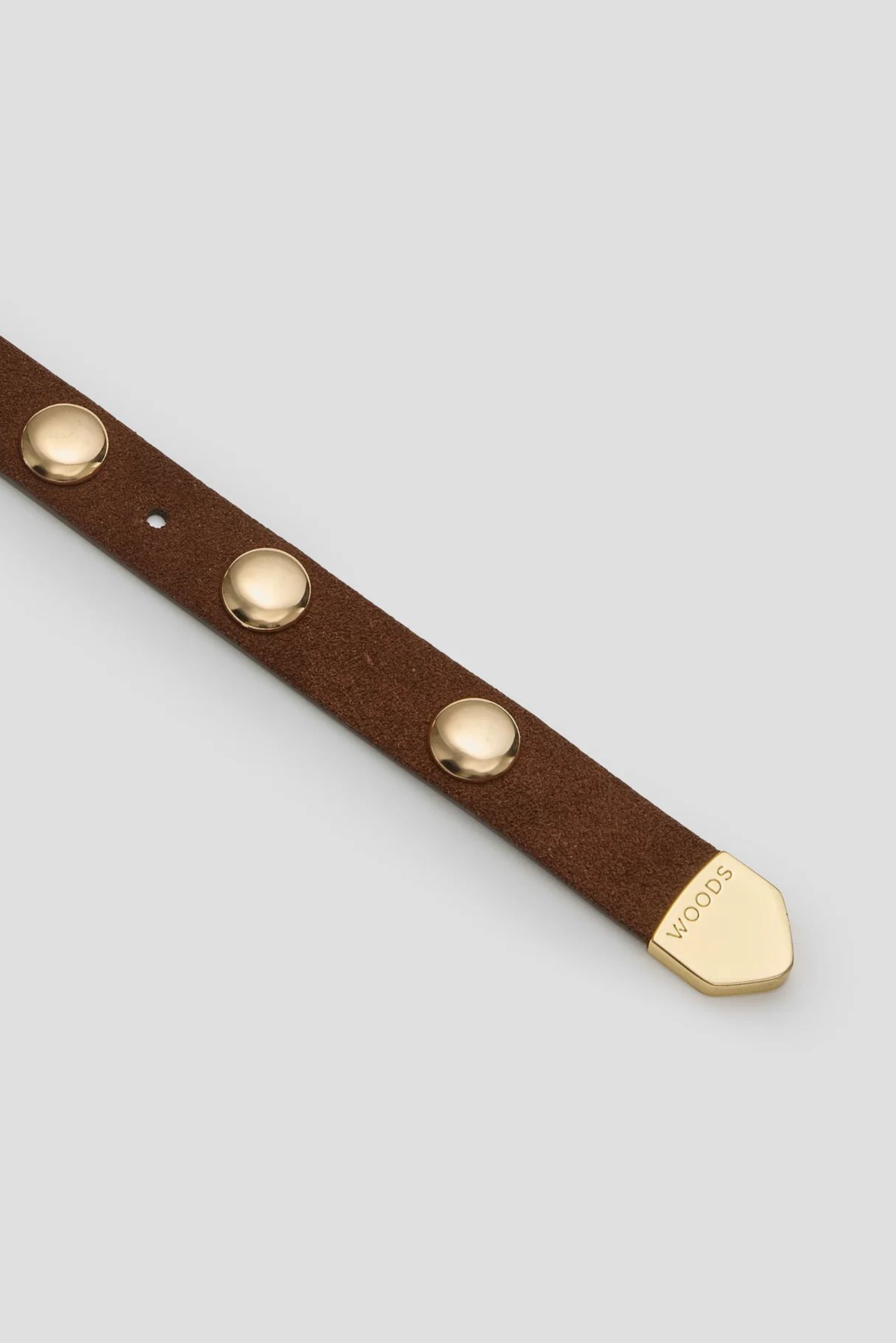 Scott Belt