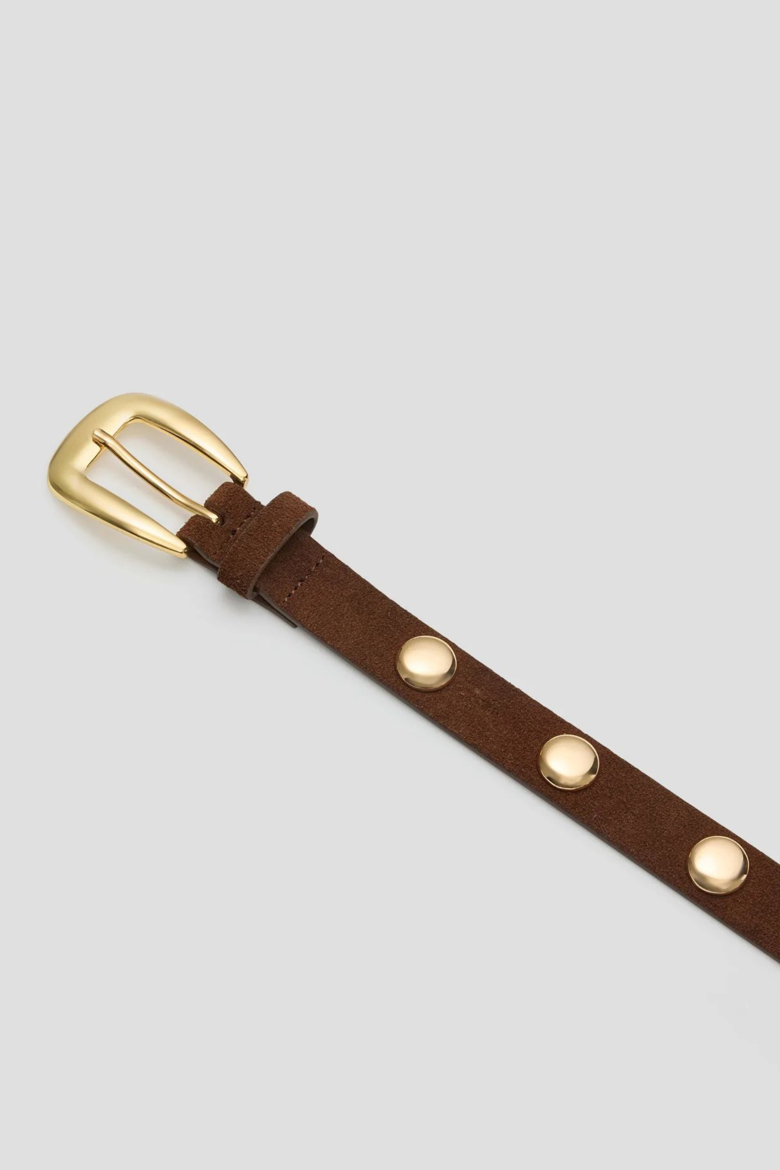 Scott Belt